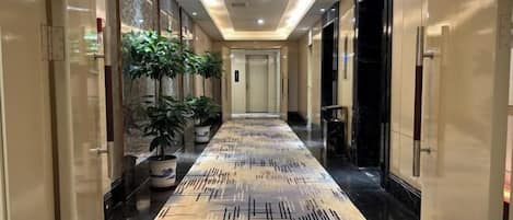 Un couloir d’hôtel avec un tapis à motifs, des plantes en pot et un ascenseur moderne.