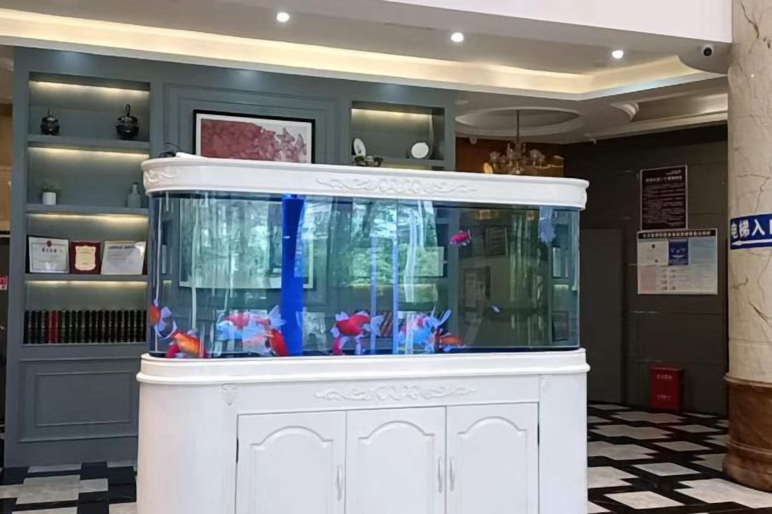 Zona de recepción con un acuario, mostrador de registro y piso a cuadros en blanco y negro.