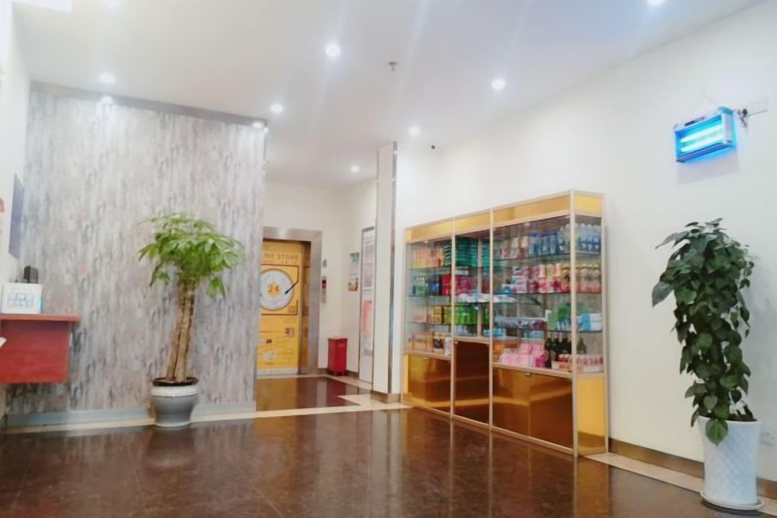 Un'area reception con un banco, una pianta e una mensola con diversi oggetti.