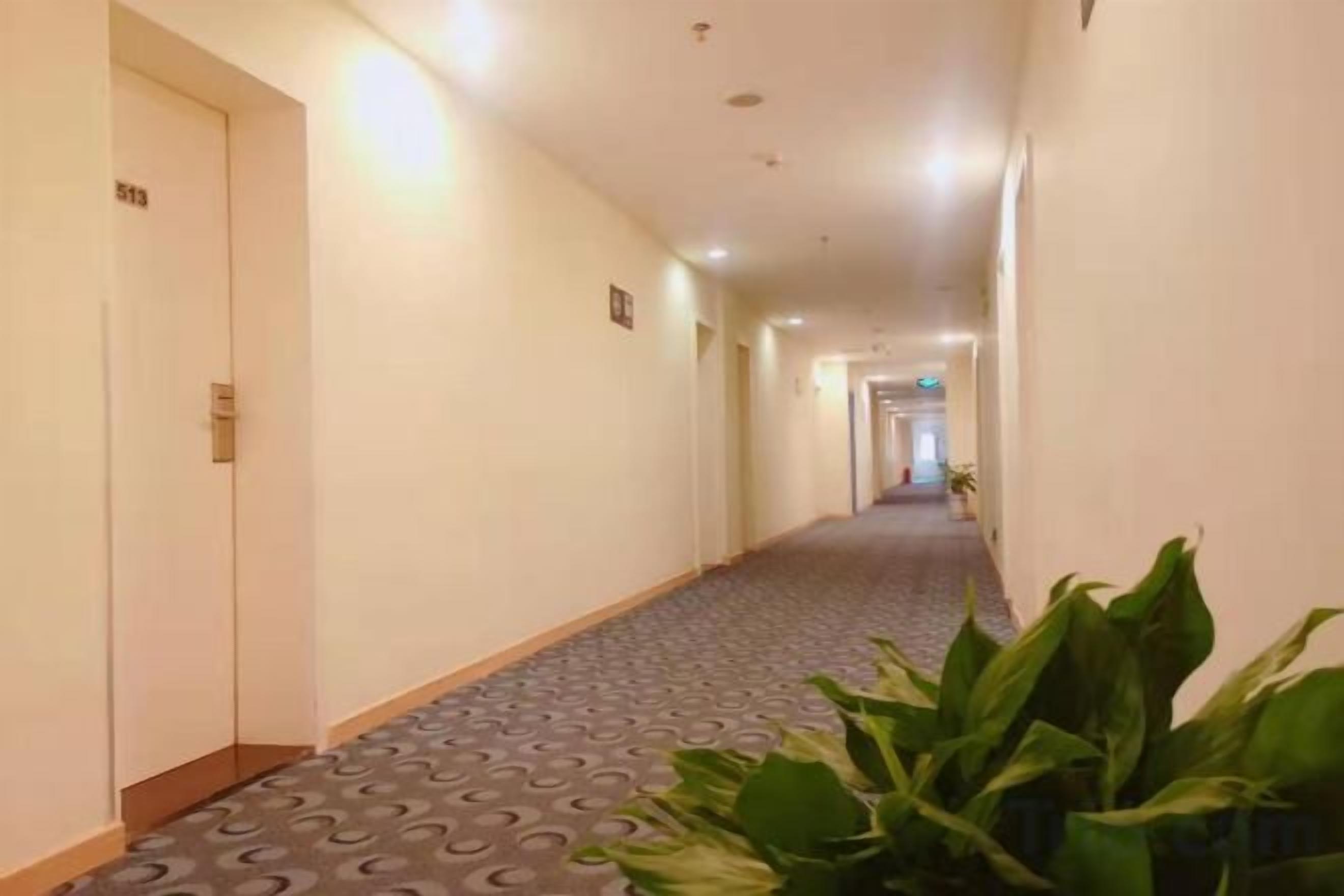A hotel corridor with carpeted floors, doors, and potted plants.