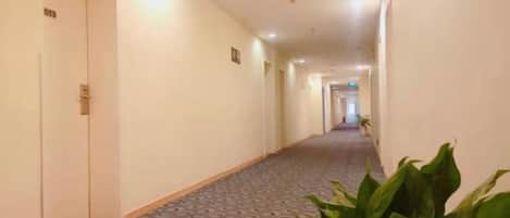 A hotel corridor with carpeted floors, doors, and potted plants.