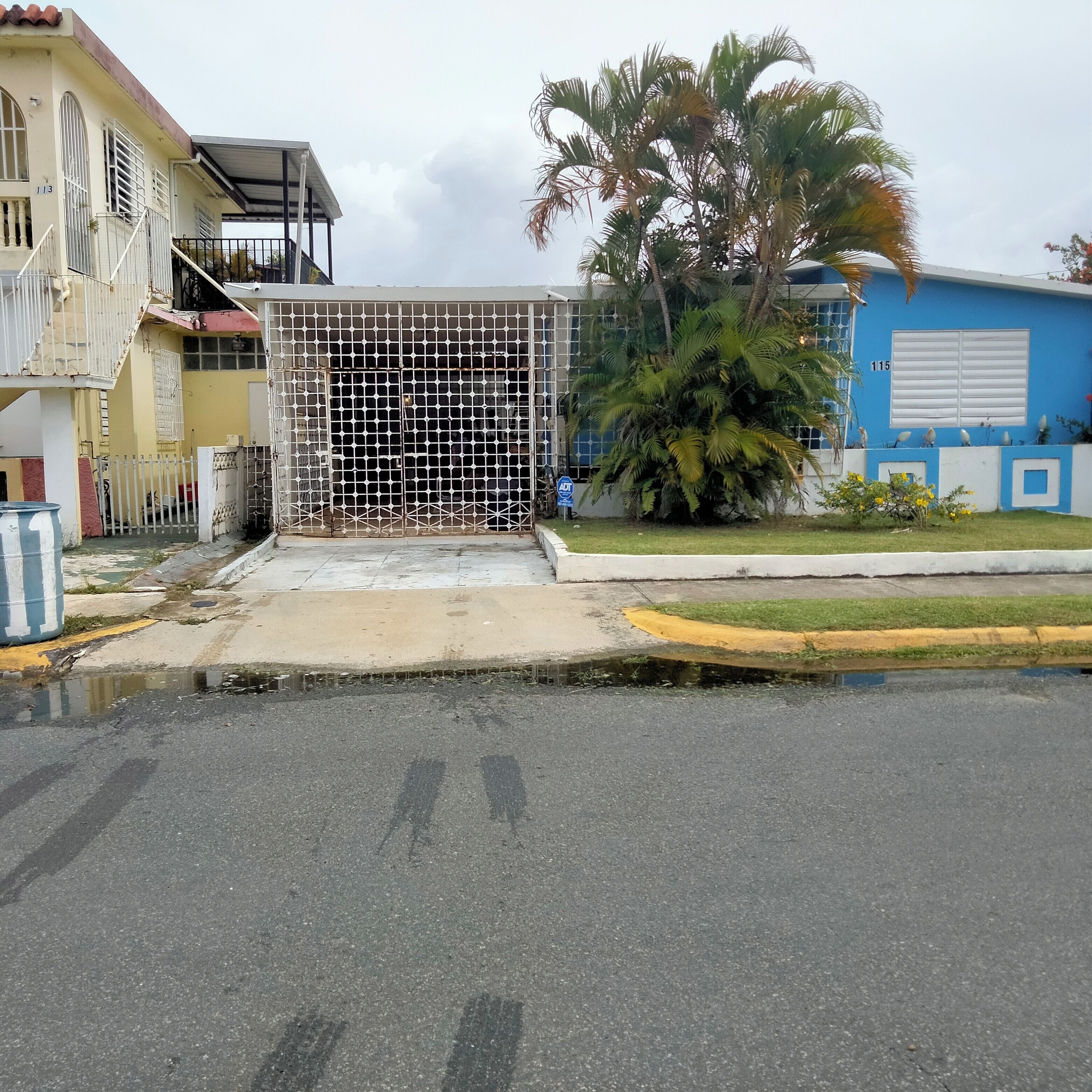 A gated entrance with a metal gate, a palm tree, and a building with a blue facade.