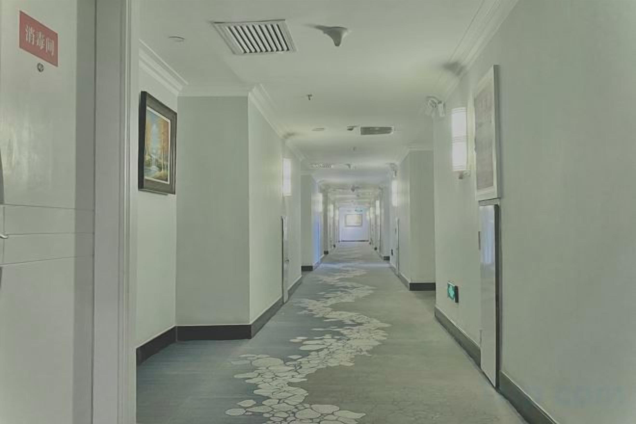 Un pasillo de hotel con alfombra estampada, cuadros enmarcados en las paredes y un letrero que indica el camino a la recepción.