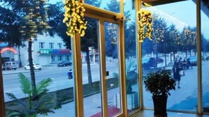 A hotel entrance with large glass doors, a red carpet, and a potted plant inside. - Jiuduo Holiday Hotel (Arun Banner)