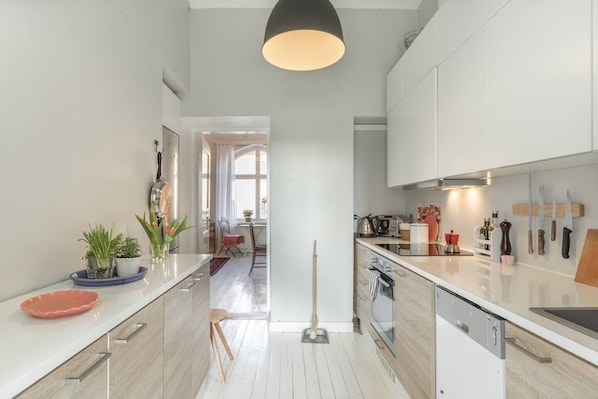 Fridge, oven, stovetop, dishwasher