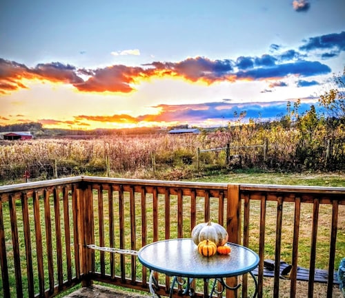 Delightful Tiny Home!  Great Views of Farm, Mountains 