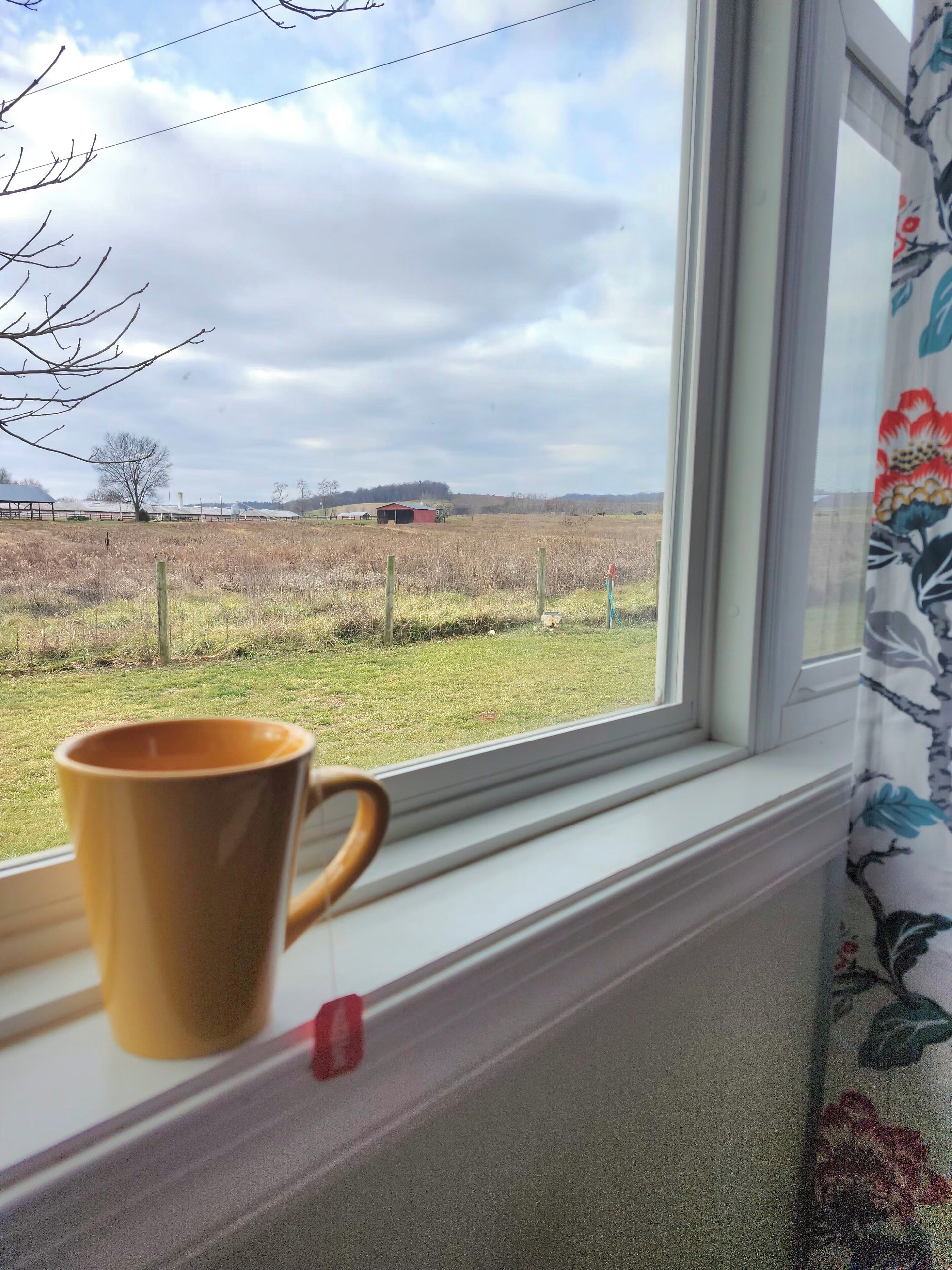 Una ventana con vista a un paisaje rural, una silla de madera y una taza amarilla en el alféizar.