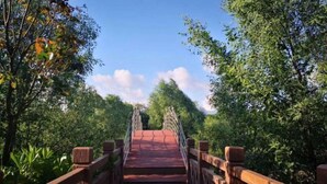 A wooden bridge with a red pathway leading to a forested area. - Shuang Yi Hotel (Huizhou)