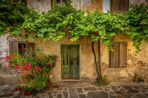 A rustic building with a green door, stone steps, and a vine-covered wall.