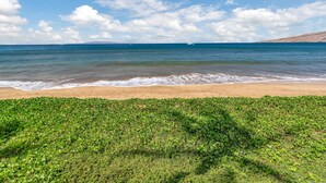 Een strand met helderblauw water, een zandstrand en begroeiing op de voorgrond.