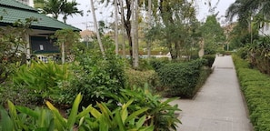 Stroll through the serene garden, surrounded by lush greenery and a tranquil atmosphere.