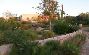 Property grounds - Holiday Home for Large Families (Ounagha)