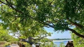 Room, 1 Bedroom, Accessible, Smoking | View from property