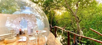 Rock and Sea Resort, Imperial Banda 1 pax - Glamping