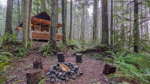 Unclassified image, 4 of 48, button - Storybook Cabin on Sahara Creek - 8mi to MRNP! (Ashford)