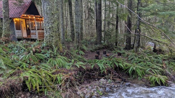 A cabin by a flowing stream surrounded by dense forest. - Storybook Cabin on Sahara Creek - 8mi to MRNP! (Ashford)