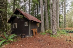 Exterior - Nostalgic cozy cabin on Sahara Creek! ✨ (Ashford)
