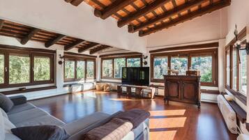 TV, fireplace, table tennis