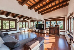 TV, fireplace, table tennis