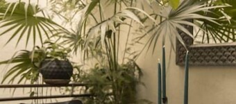 Trendy entire 1900s house exquisitely decorated.