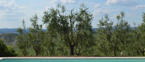 Villa, 2 chambres, fumeur, piscine privée | Piscine | Piscine extérieure