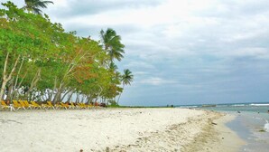 Una spiaggia con sabbia bianca, palme e sedie a sdraio gialle.
