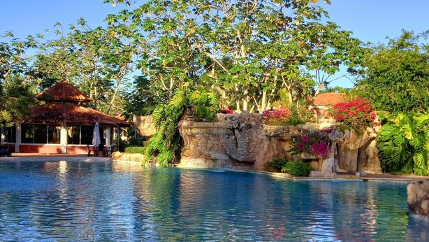 Una piscina con una formazione rocciosa e piante tropicali.