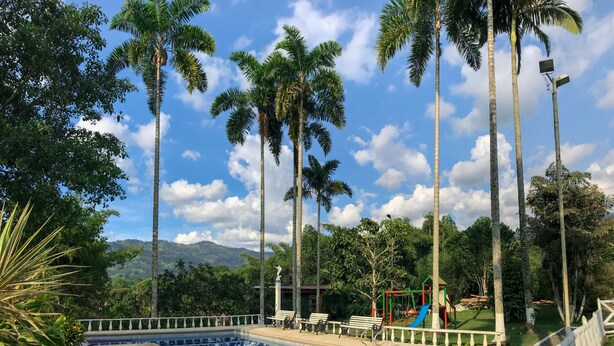 A swimming pool with a white fence, surrounded by palm trees and benches. - Room-room With 1 Double bed and 2 Single (Pereira)