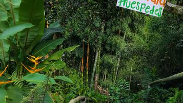 A sign reading "Solo Para Huespedes" in a lush, green outdoor setting.
