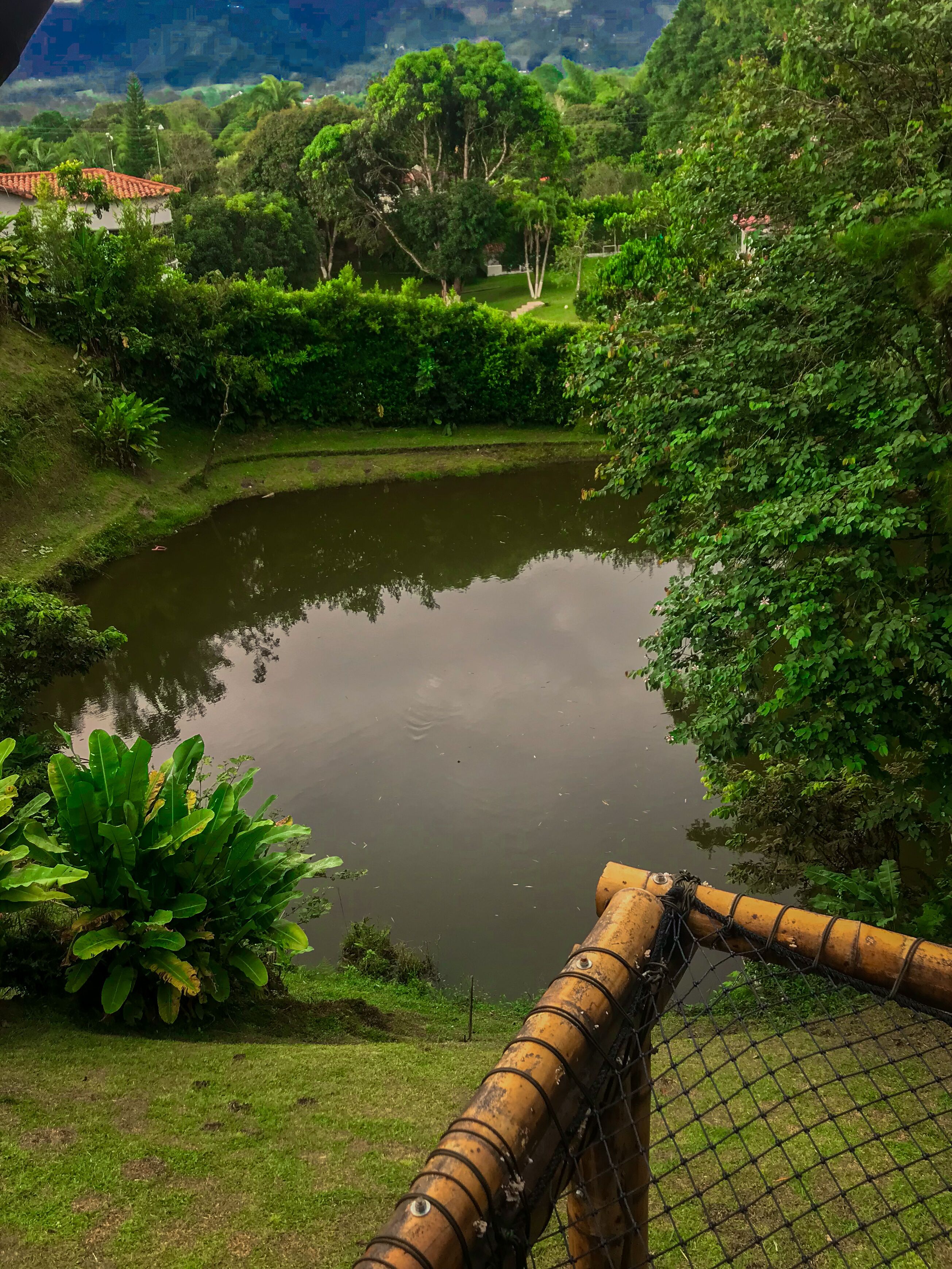 A tranquil pond surrounded by lush greenery, with a rope barrier and a hammock in the foreground.