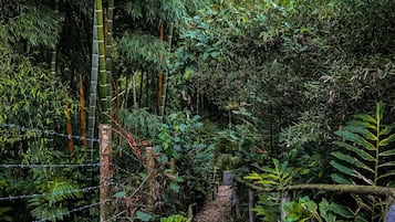 客房, 1 間臥室, 無障礙, 吸煙房 | 住宿景觀