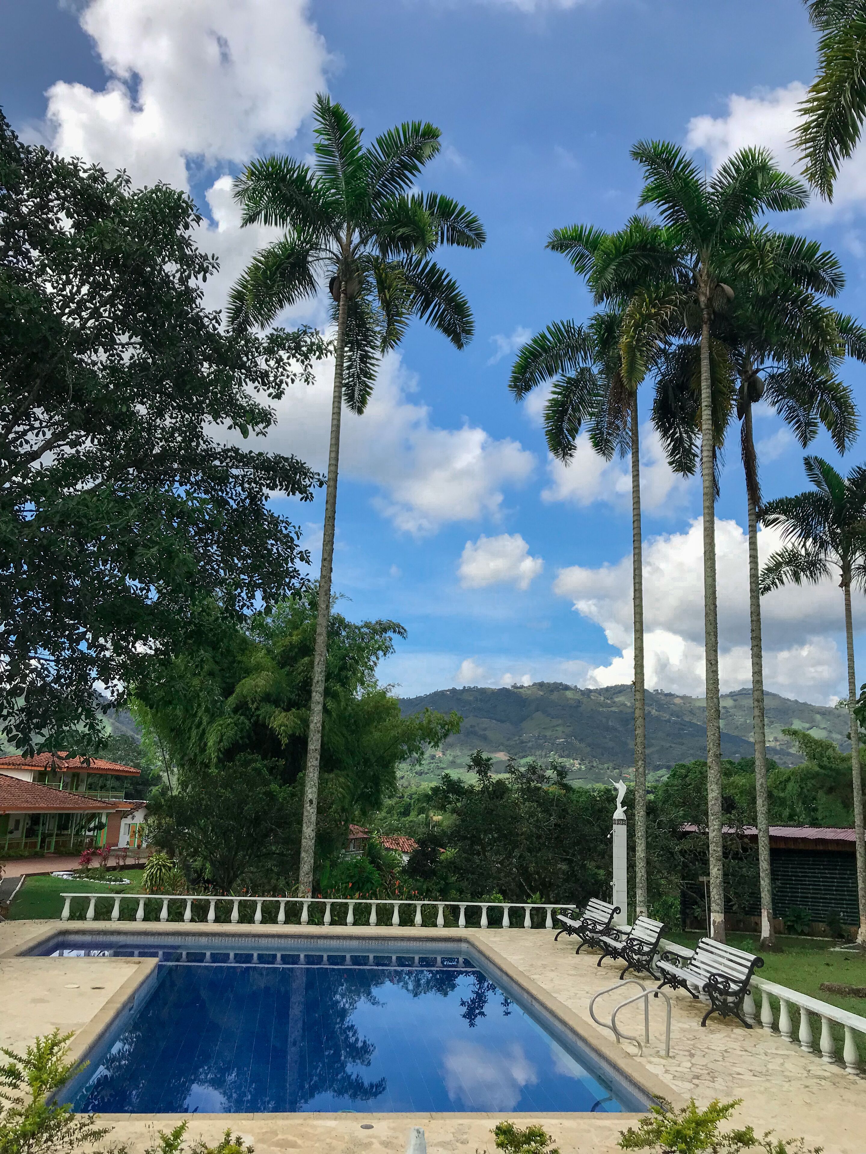 room, 1 bedroom, accessible, balcony | pool | outdoor pool