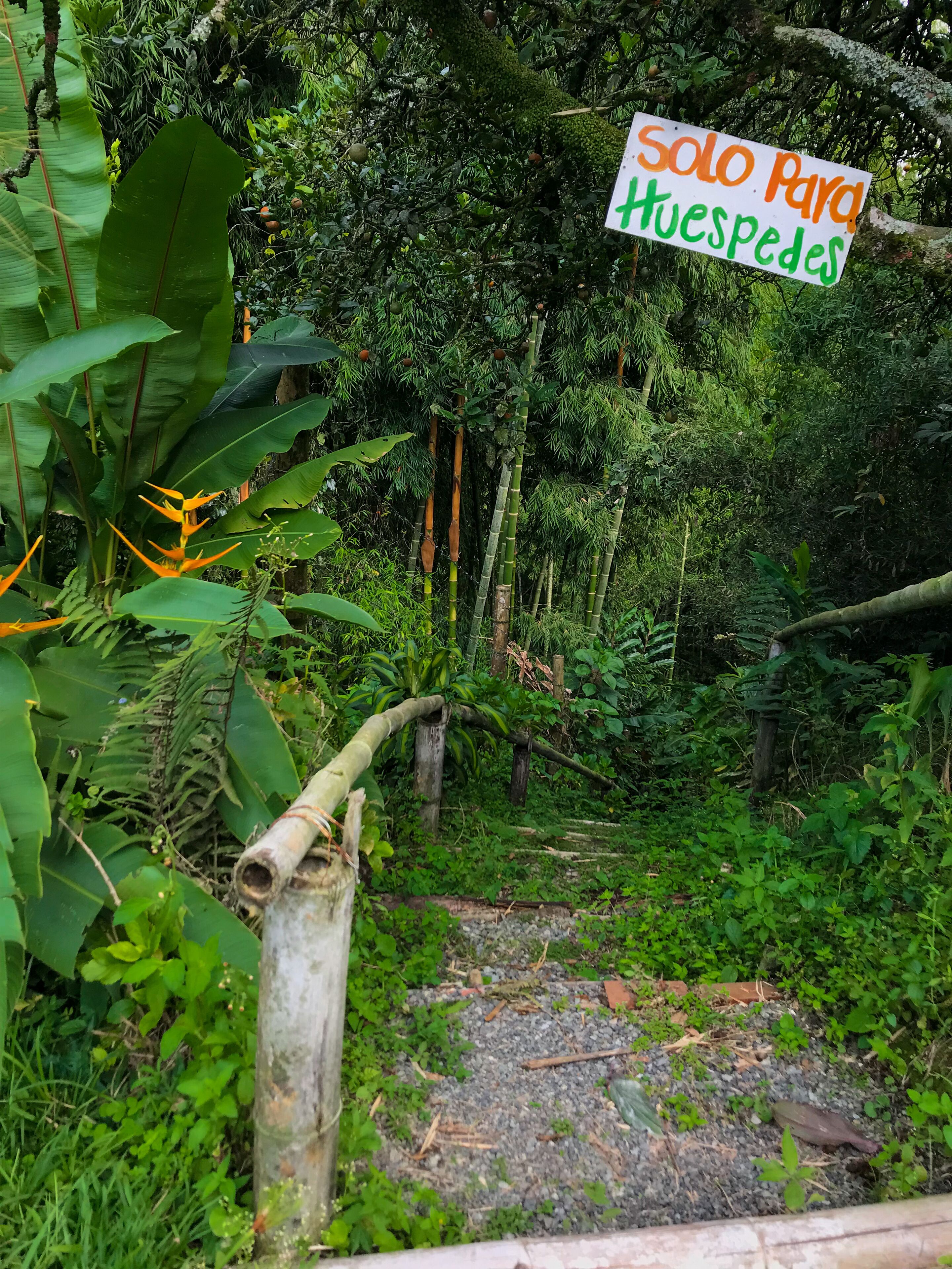 room, 1 bedroom, accessible, balcony | garden