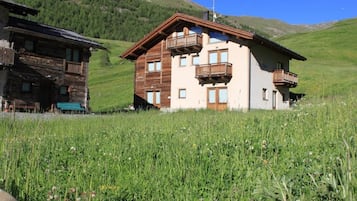 Esterni