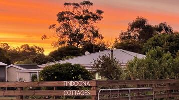 Escape to a serene setting surrounded by trees and a tranquil atmosphere.