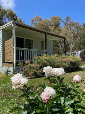 Garden view - Tindoona Cottages (Foster)