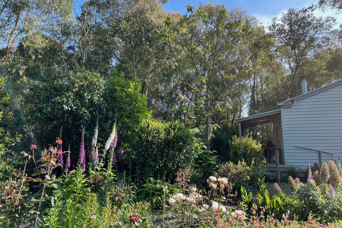 Un jardín con diversas plantas y flores, una estructura de madera y una casa al fondo.