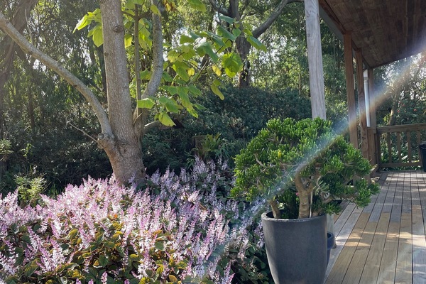 Superior Cottage | Garden view