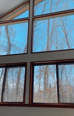 Interior - Relaxing Rustic ranch at Locust Lake! with beautiful views! Close to the Lake! (Pocono Lake)