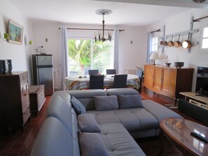 Televisión, chimenea, reproductor de DVD y libros 