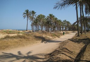 Beach nearby - Holiday Home 'Casa de Sonrisa' with Shared Pool, Wi-Fi, Garden & Terrace (Torrevieja)