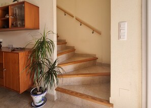 A staircase with wooden steps and a handrail, a wooden cabinet with glass doors, and a potted plant.