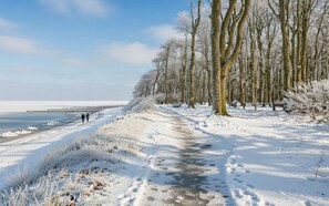 Unclassified image, 4 of 18, button