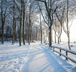 Imagen sin descripción, 2 de 18, botón