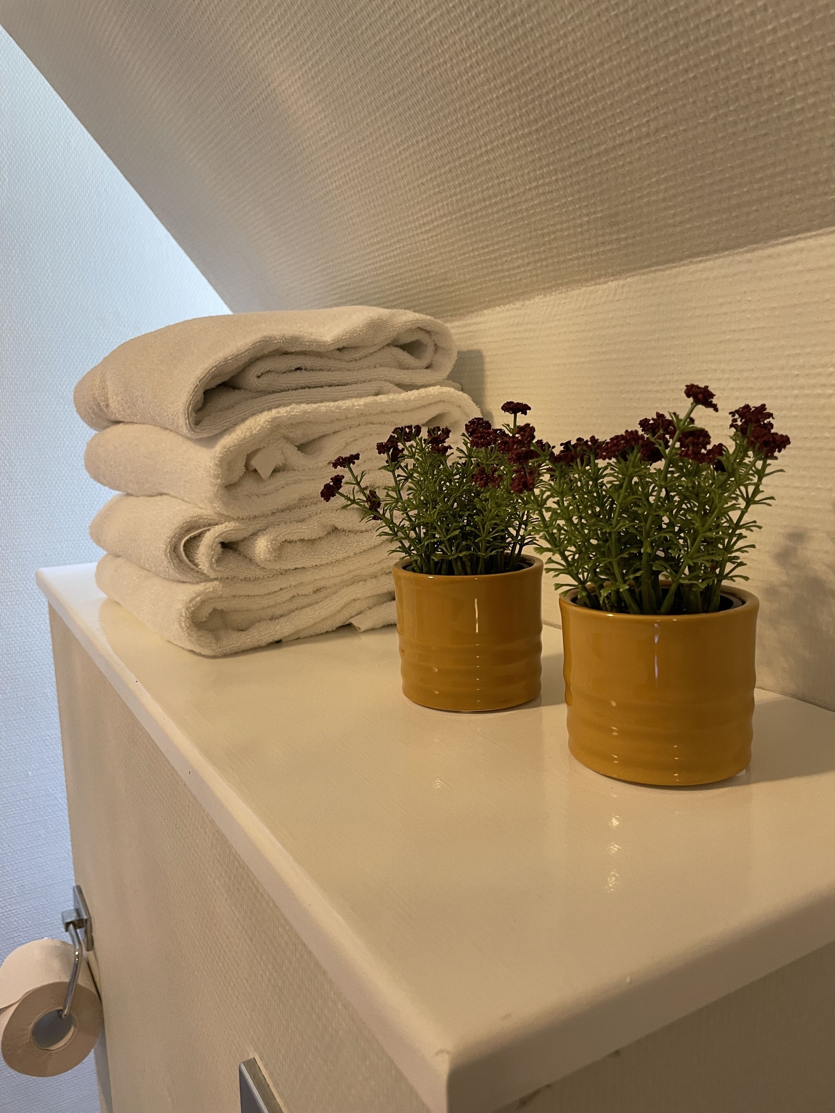 Basic-Zweibettzimmer | Badezimmer | Dusche, Handtücher