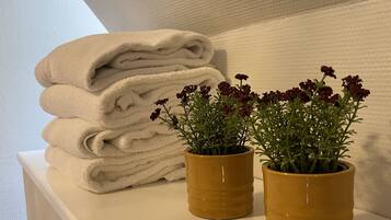 Basic-Zweibettzimmer | Badezimmer | Dusche, Handtücher
