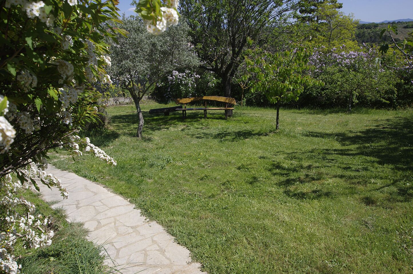 Een park met een verharde wandelpad, een houten bankje en bloeiende bomen.