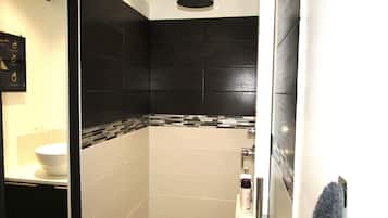 Shower, hair dryer, towels, toilet paper