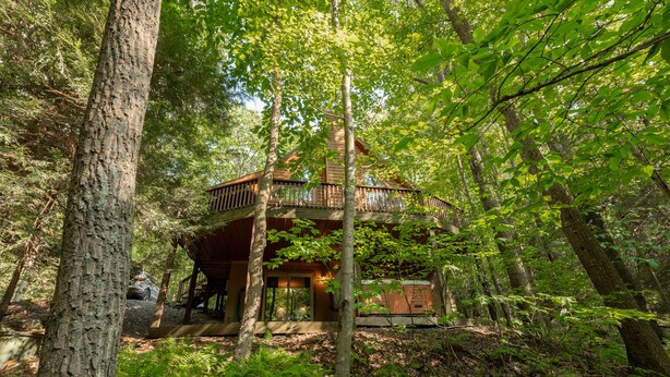 Une cabane au cœur d’une forêt, dotée d’une terrasse en bois et d’un porche abrité.