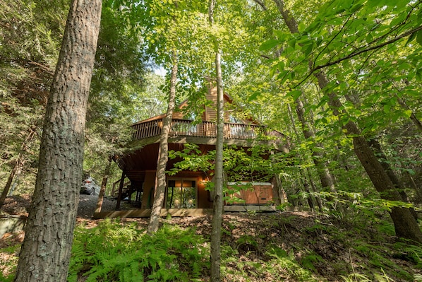 Een blokhut in een bos, met een houten terras en een overdekte veranda.